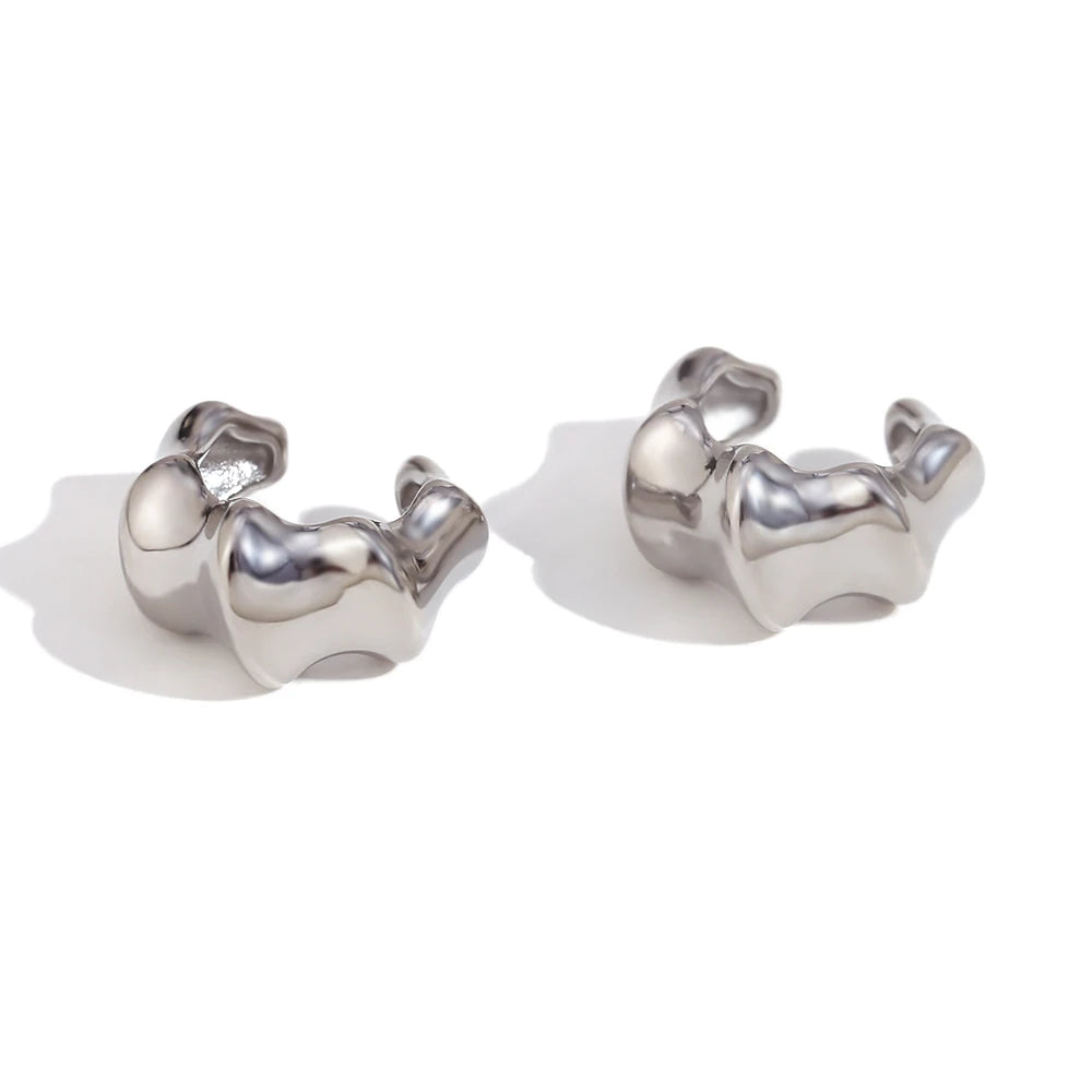 Geometric Stainless Steel Clip Earrings – New Trend