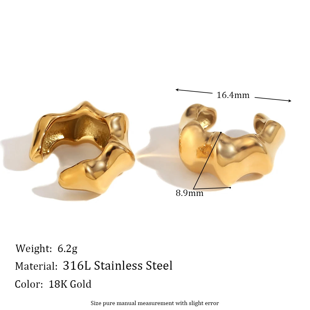 Geometric Stainless Steel Clip Earrings – New Trend