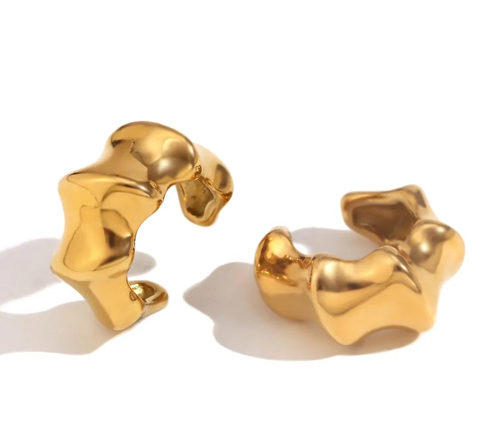 Geometric Stainless Steel Clip Earrings – New Trend