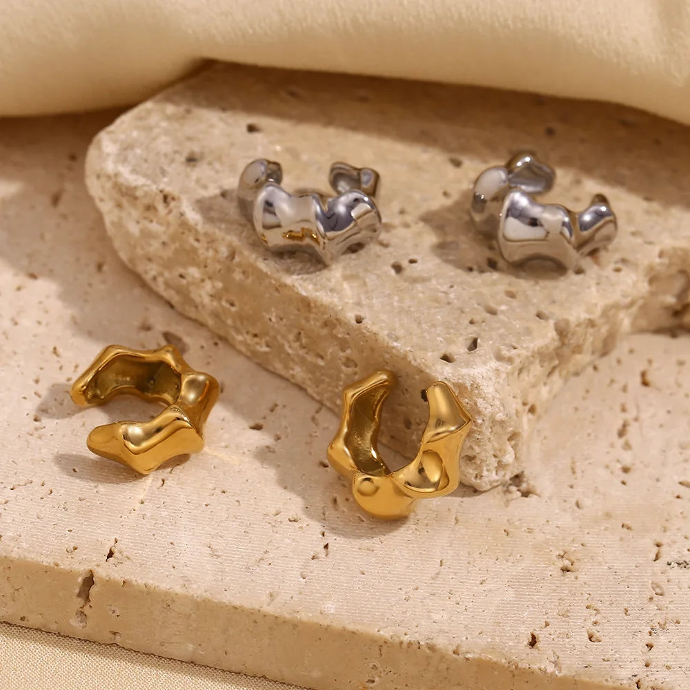 Geometric Stainless Steel Clip Earrings – New Trend