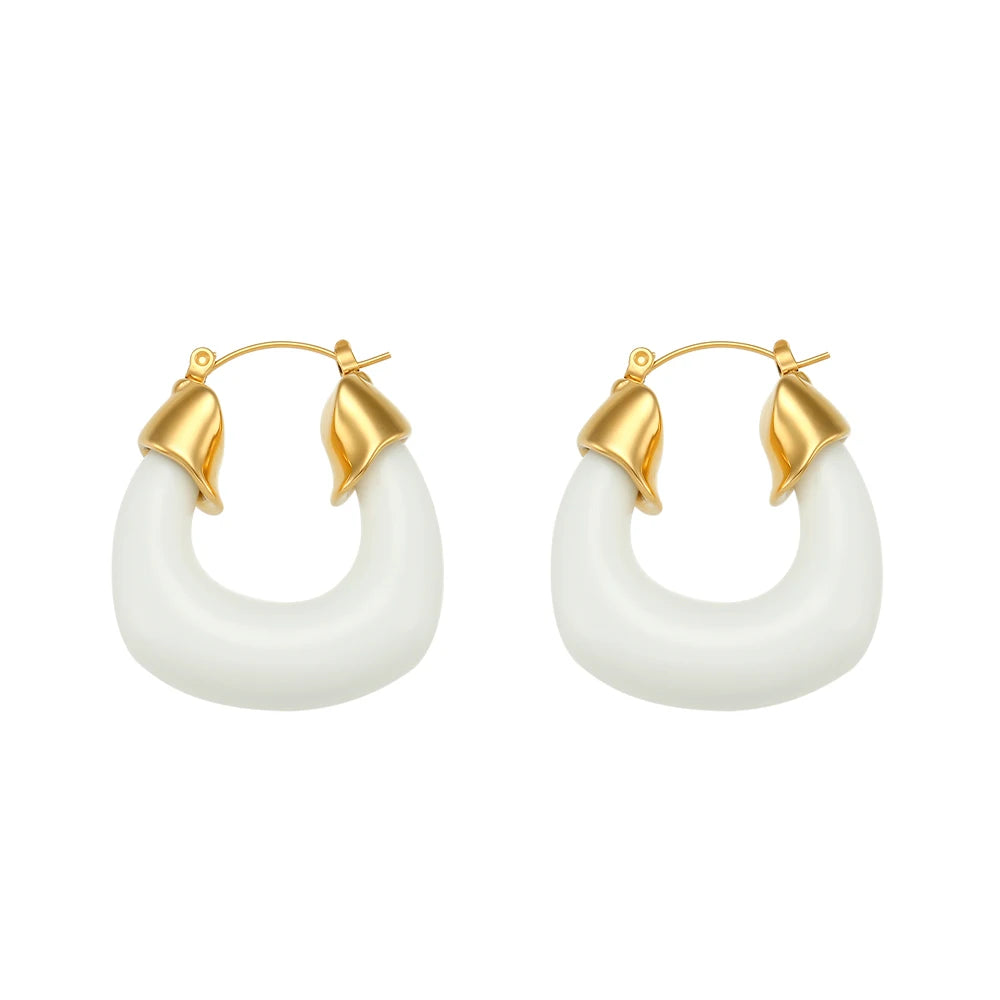Acrylic Curve Earrings