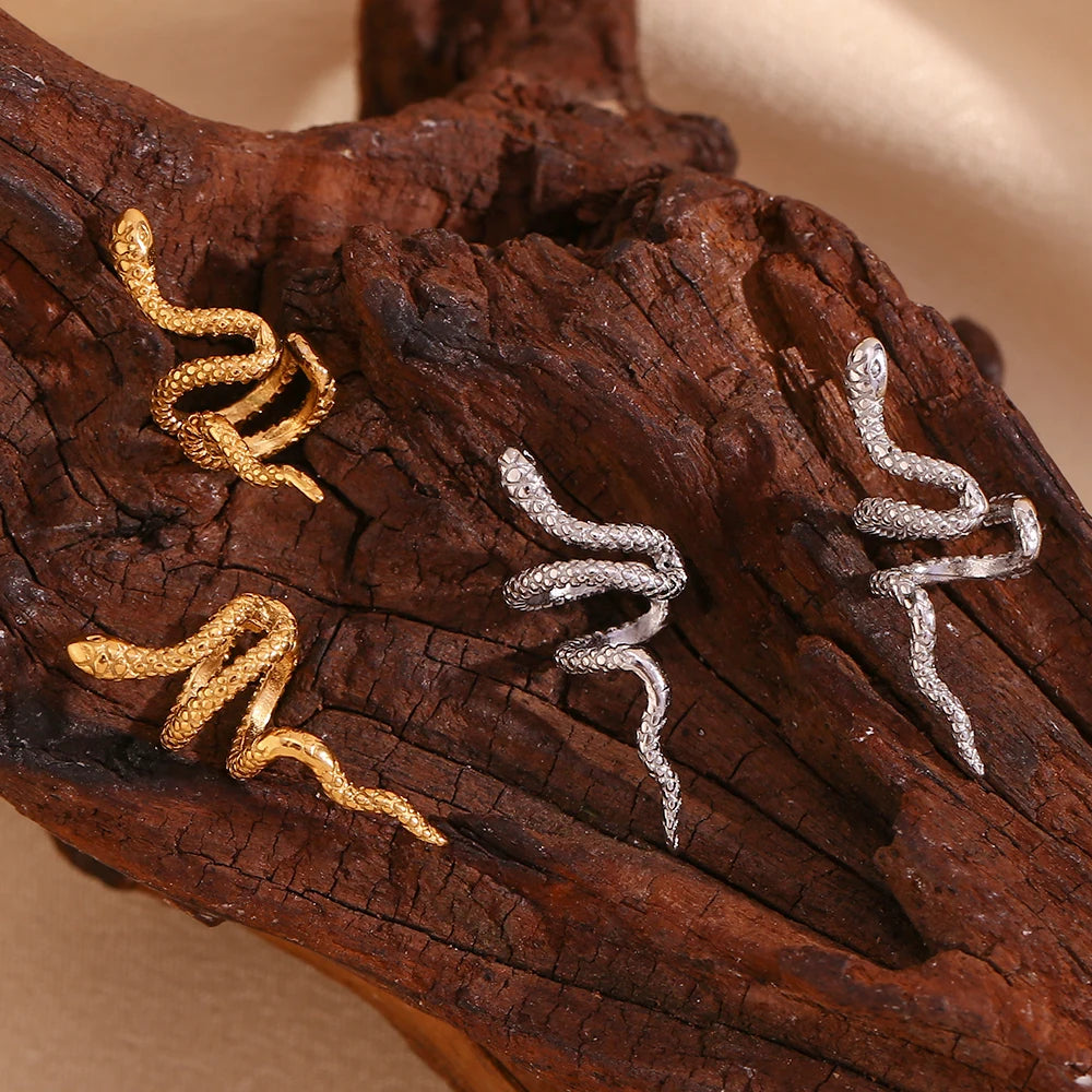 Serpentine Mesh Ear Clip