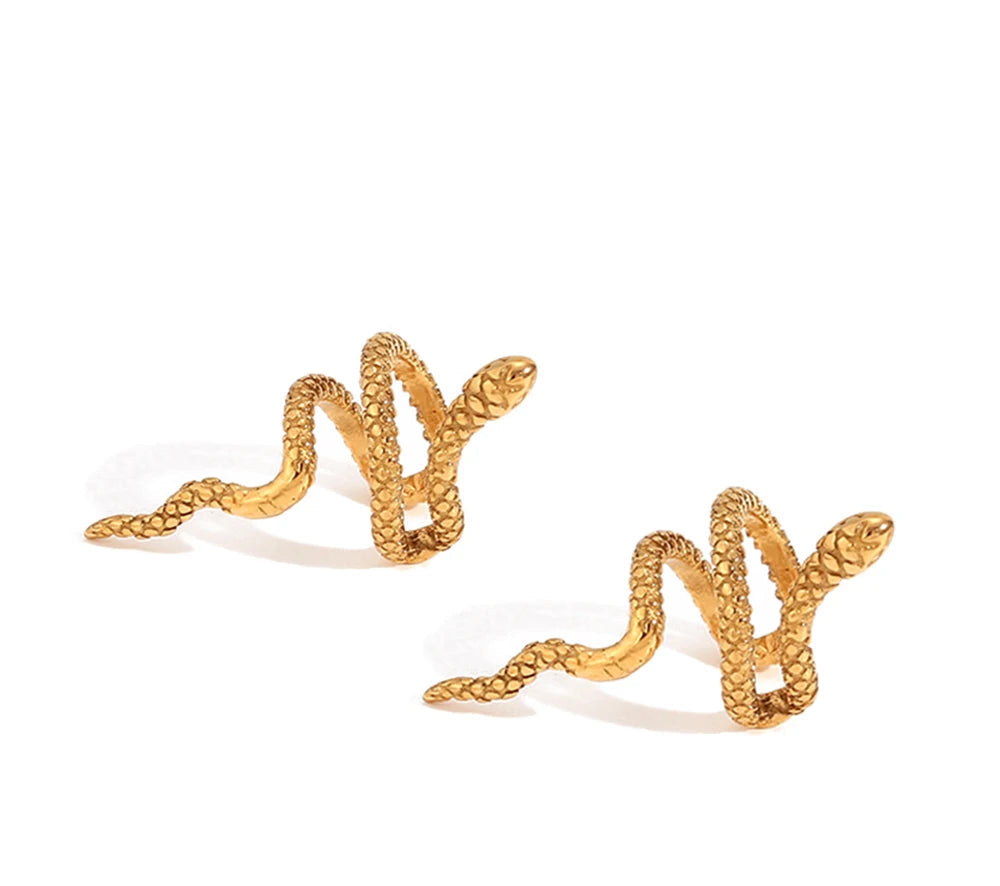 Serpentine Mesh Ear Clip