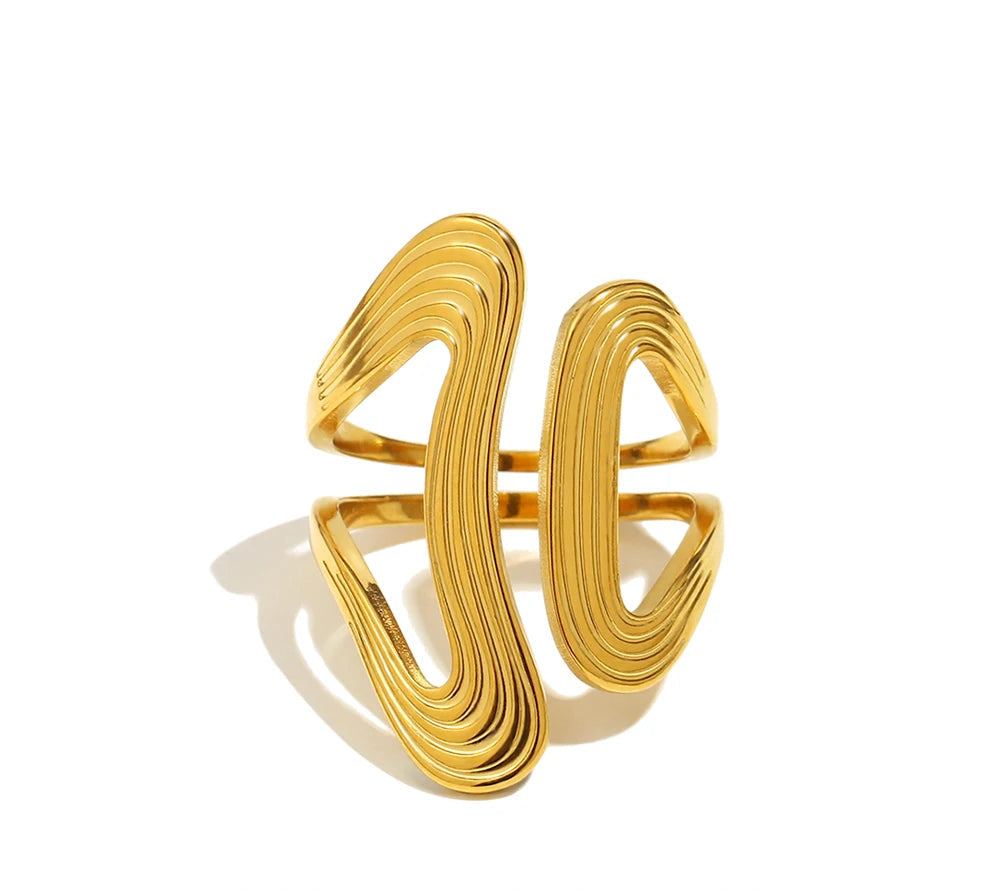 Geometric Flow Ring