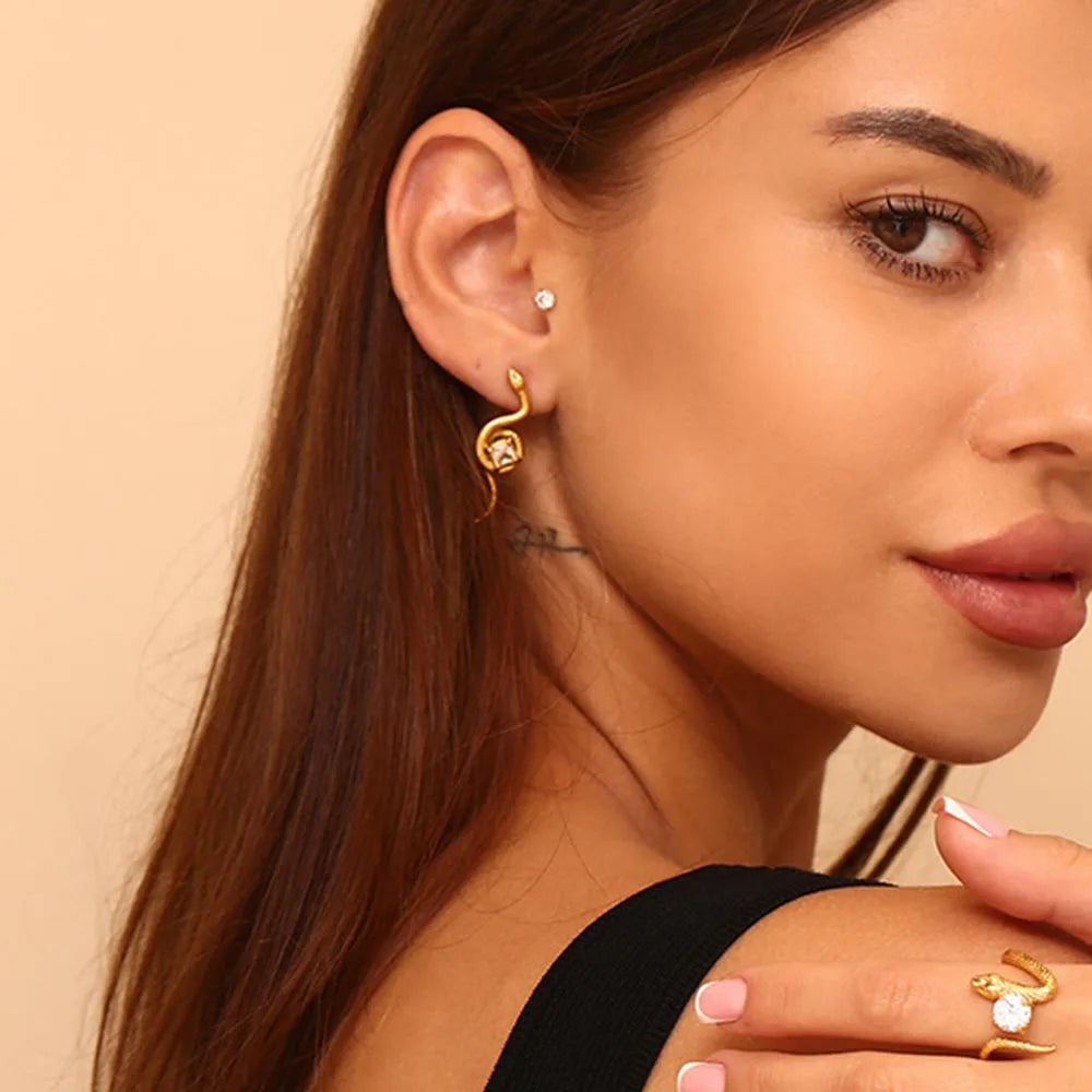 Zircon Snake Earrings